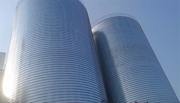 蒙山2座混凝土高架卷板仓